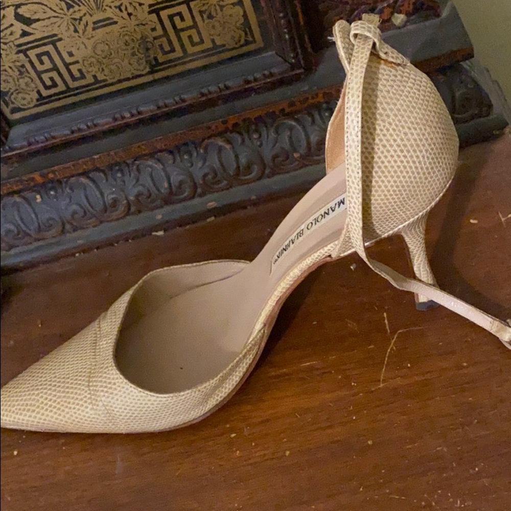 Manolo Blahnik Pointy Toe Leather